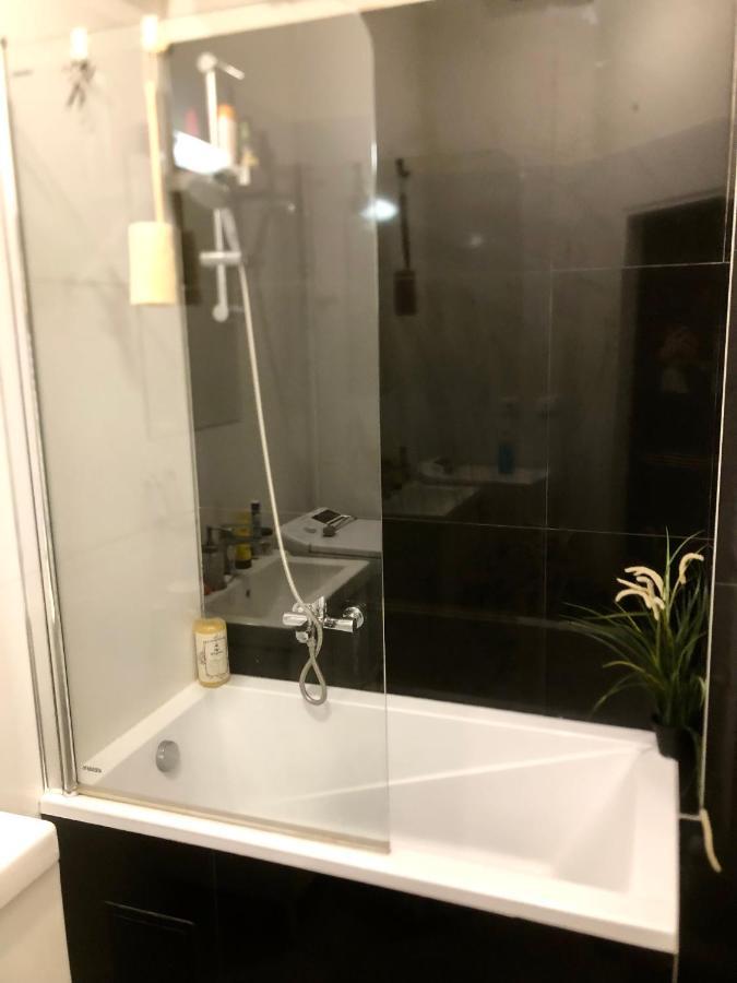 Karlin Cozy Studio 프라하 외부 사진