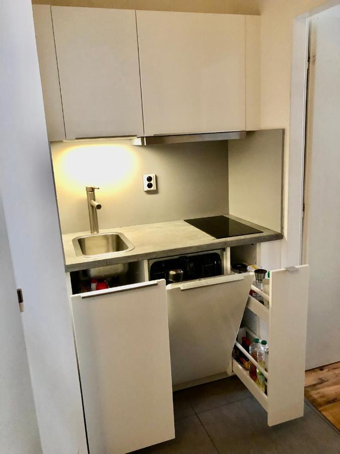Karlin Cozy Studio 프라하 외부 사진